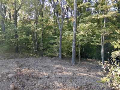 0 King Rd, Fairview, TN, 37062