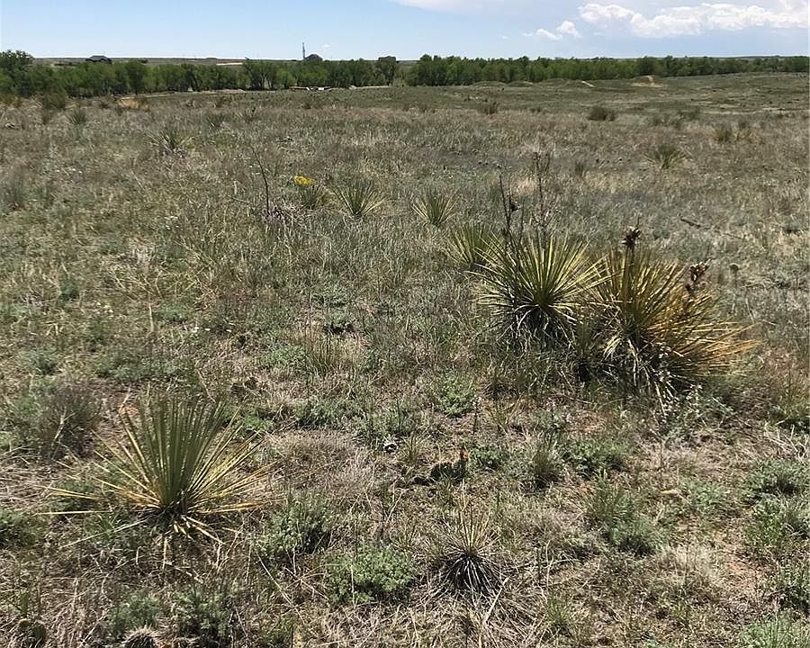 2nd image of 13950 County Road 182