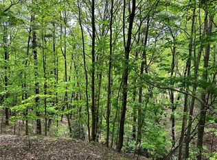 112 Buck Mountain Rd, Purlear, NC 28665