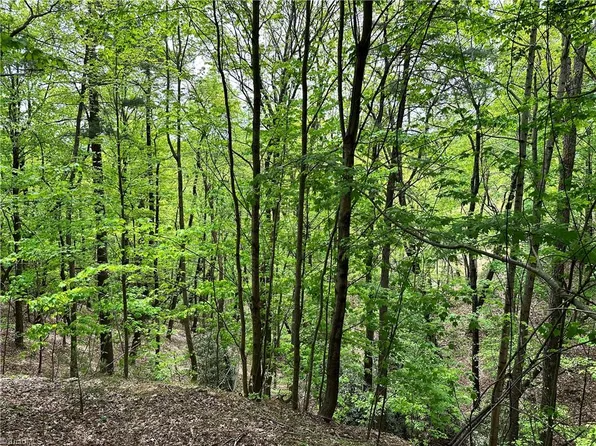 112 Buck Mountain Rd, Purlear, NC 28665