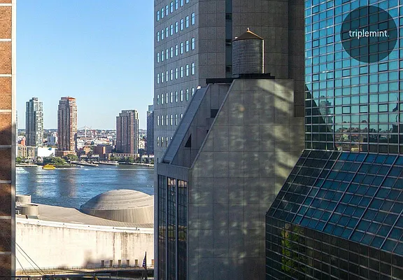 Sold by Triplemint | media 15