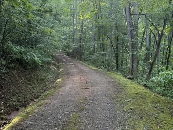 450 Possum Trot Trl, Franklin, NC 28734