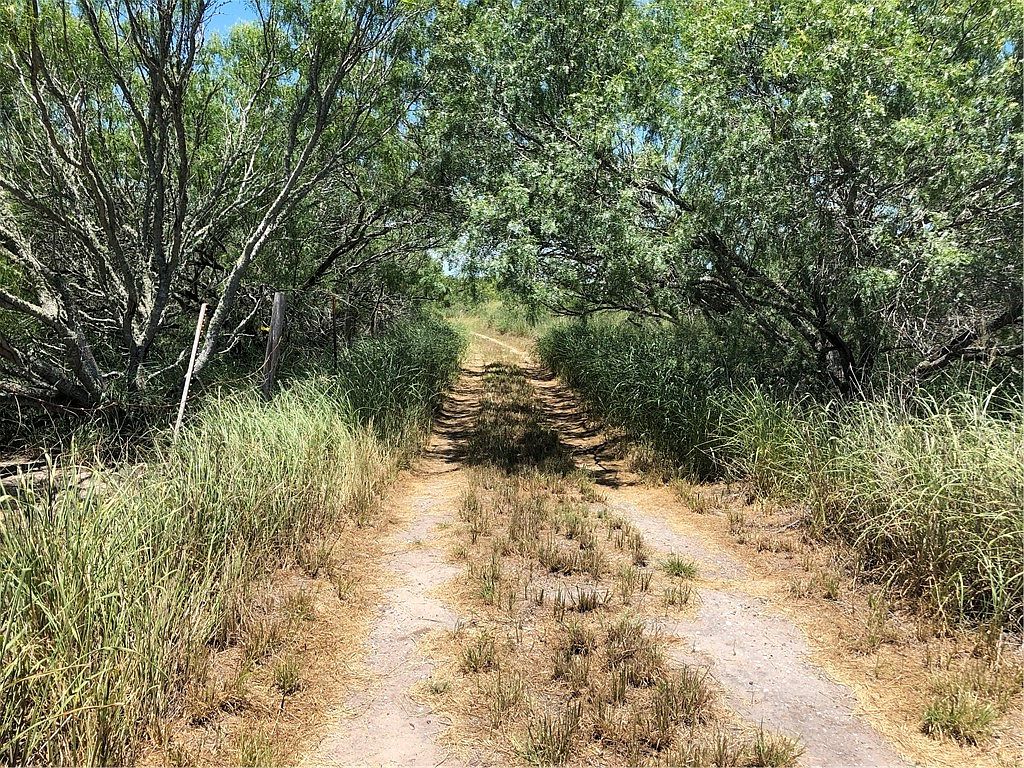 0 Fm Rd 12, TX 78343 MLS 421544 Zillow