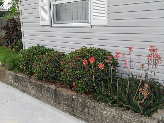 5th image of 743 Indian Hill Dr