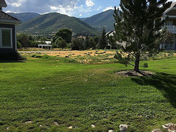 View of lot from backyard