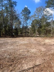 2009 Beach Rd, Walterboro, SC, 29488