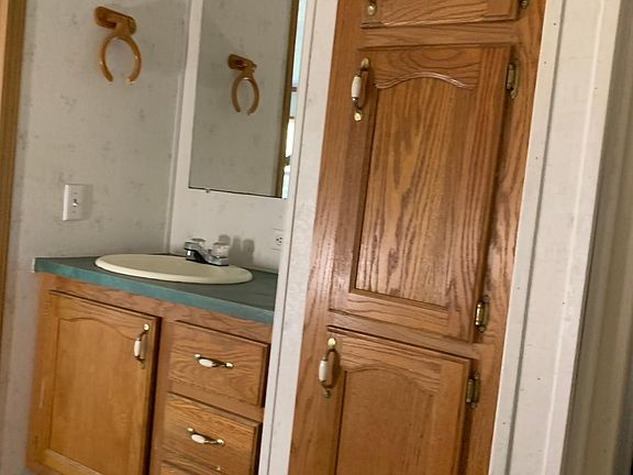 Master bathroom sink and storage