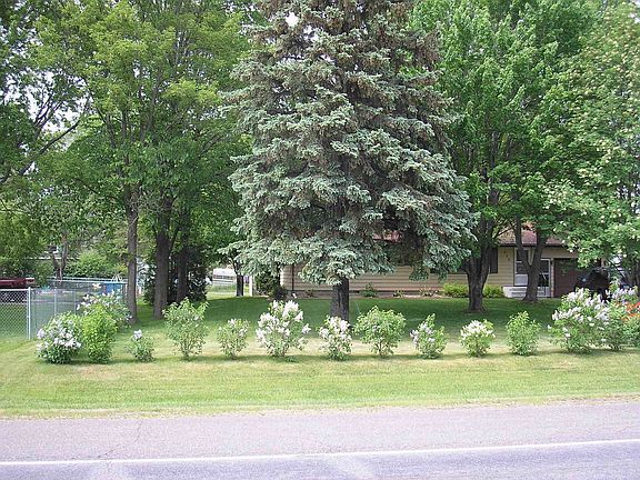 Front, Spruce