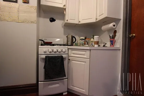 Rented by Alpha Properties NYC I LLC | media 13