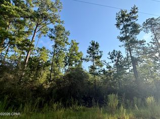 4 Black Hills St, Alford, FL 32420