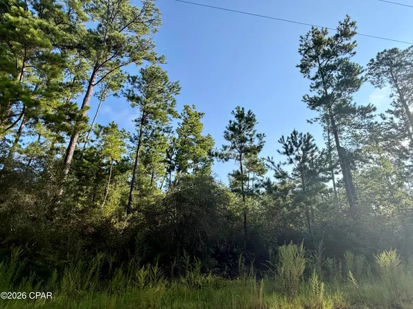 4 Black Hills St, Alford, FL 32420
