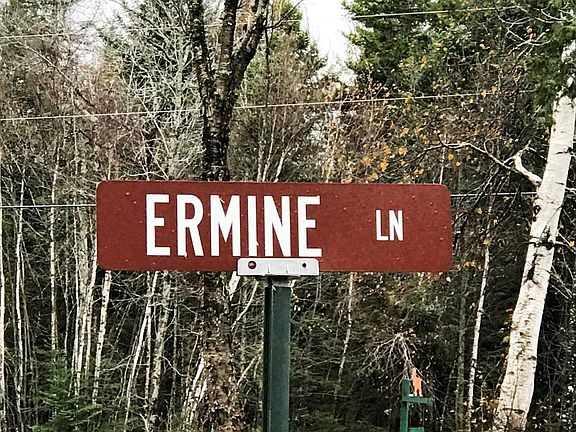 2nd image of B5 Ermine Lane #B5
