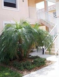 1st image of 4213 Vicenza Dr Unit B