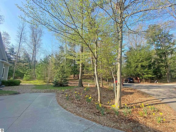 4th image of 11 Pine Trce