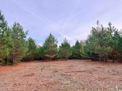 Lot 2 - TBD New Pine Rd., Johnsonville, SC, 29555