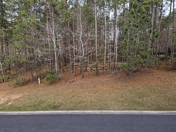 5th image of LOT 19 E Pavilion Lake Dr