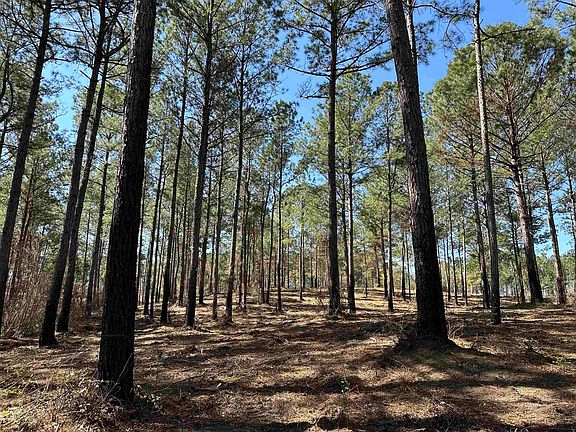 3rd image of Lot 6 - TBD Old Camp Ln.