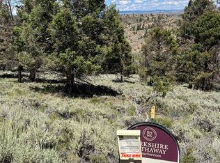 470 Mosquito Trl, Powderhorn, CO 81243