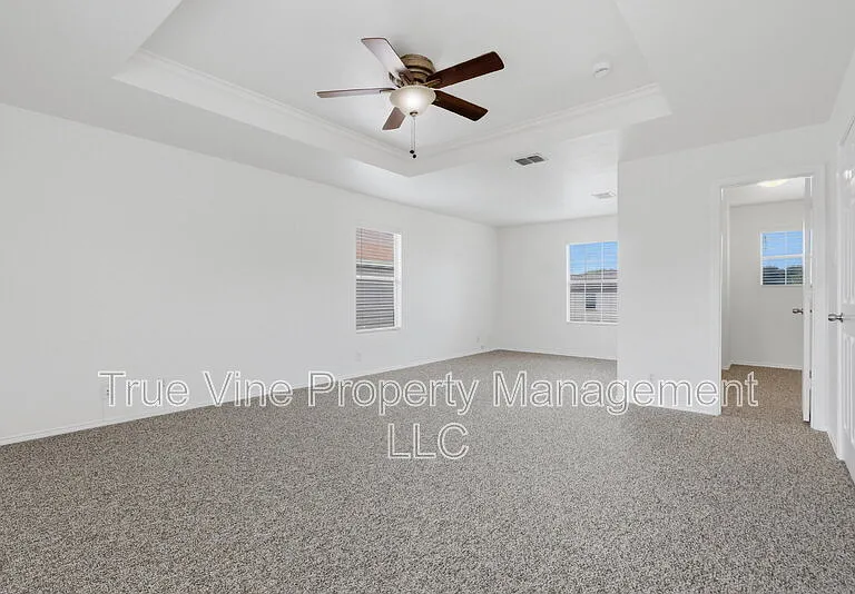 136 Texas Mulberry — Photo 15