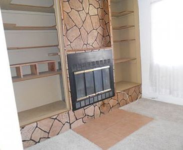Living Room Fireplace