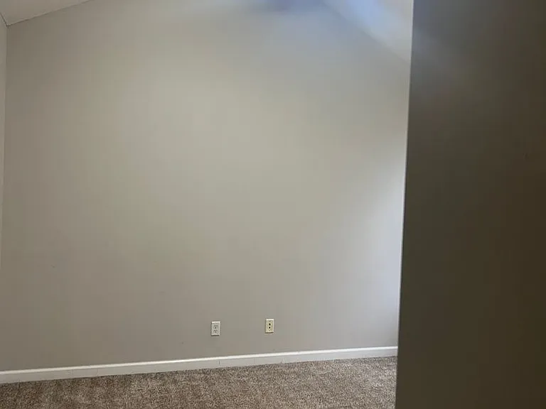 115 Renee Dr — Photo 19