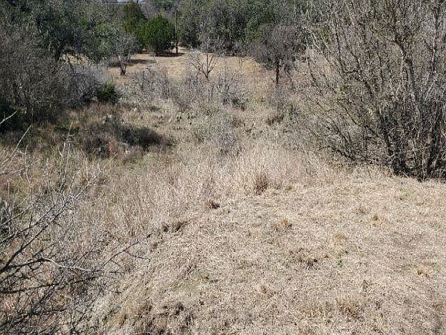 2nd image of Lot 10203 Lilley Langtry