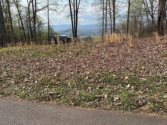 2nd image of 74 Eagles View Ct #74