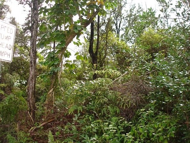 2nd image of Macadamia Dr Lot 18