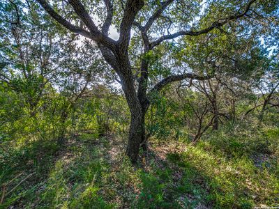 000 CR 2814 LOT 172, Mico, TX, 78056