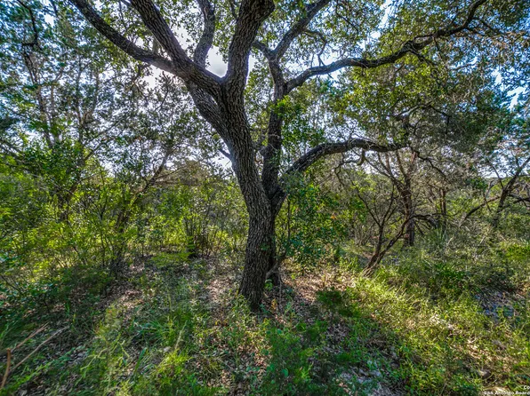 000 CR 2814 LOT 172, Mico, TX 78056
