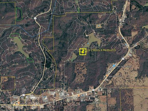 5th image of L2-B9 Redbud