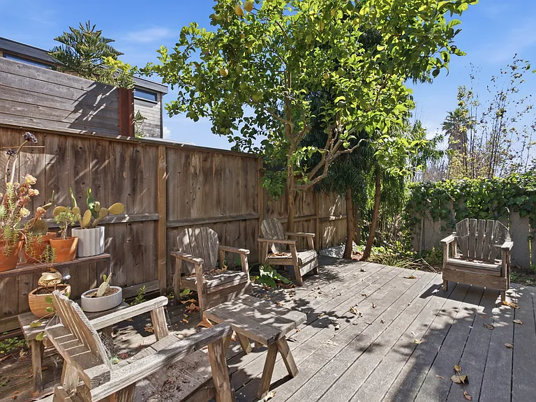 Shared Backyard