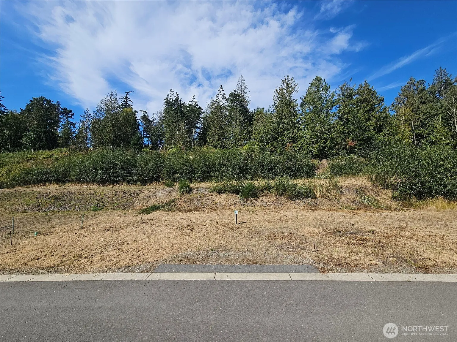 4637 Trail Crest Drive photo 1