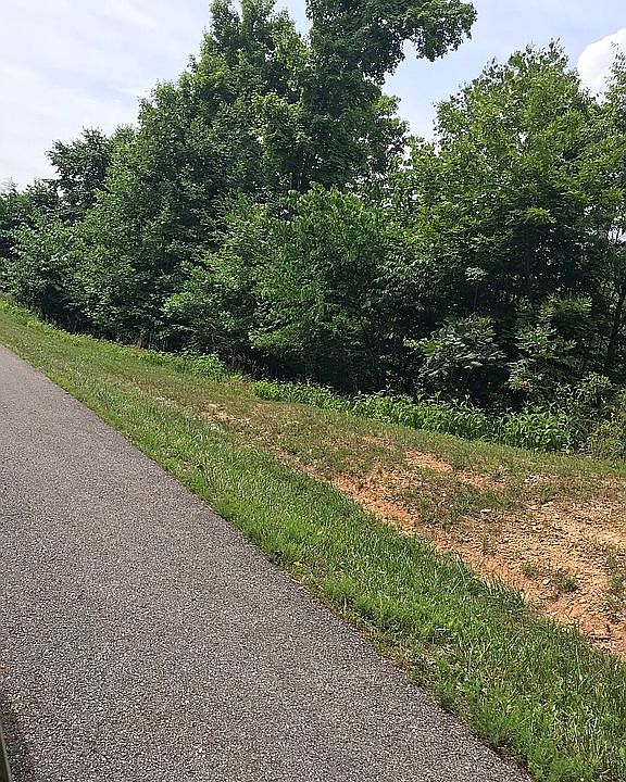 2nd image of Lillydale Rd