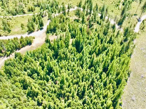 Crystal Peak Rd, Fernwood, ID 83830