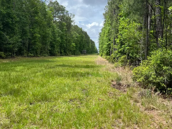 21888 Ghost Rd, Kountze, TX 77625