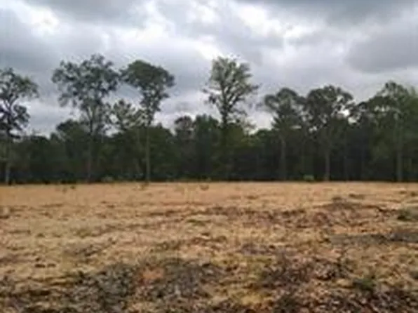 861 Ates Rd, Pineville, LA 71360