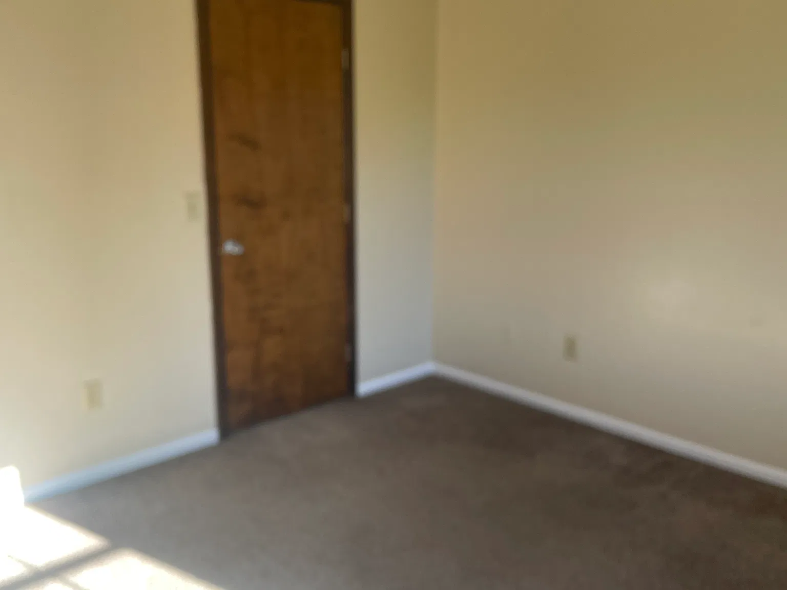 1 bed, $700 — Photo 1