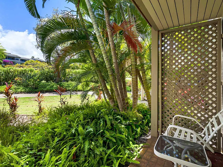 Wailea Ekolu Pl — Photo 33