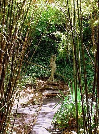 Bamboo Forest