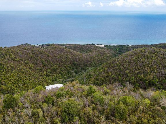 3rd image of 6 Butler's Bay NA