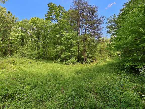 5th image of 9999 Long Branch Rd