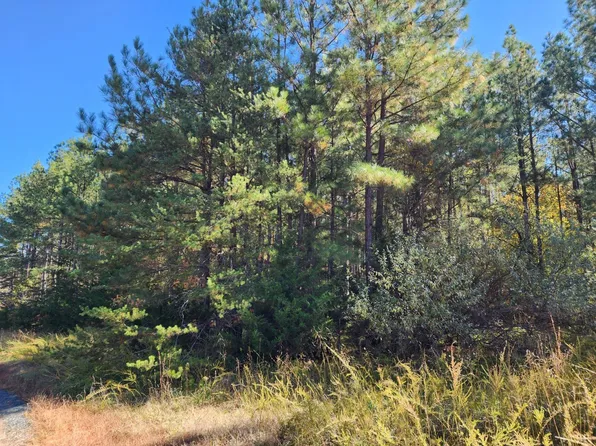 0 Old Grist Mill Rd Lot 1, Appomattox, VA 24522