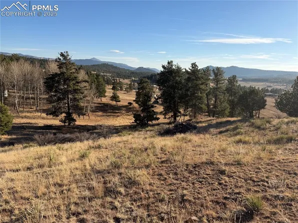 71 Elkhorn Cir, Florissant, CO 80816