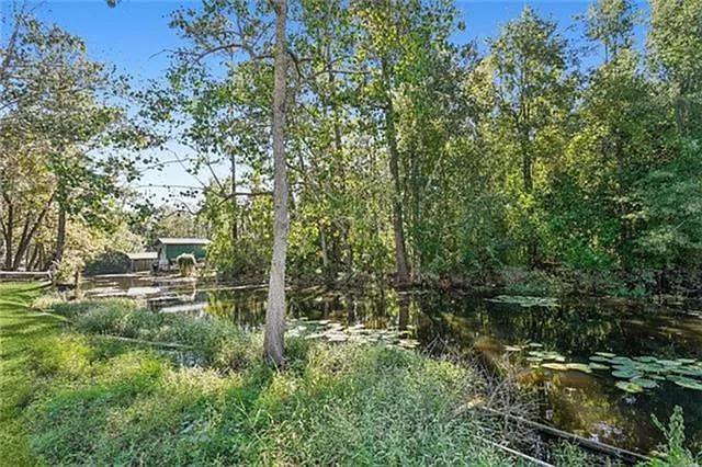 18274 Cusachs Dr — Photo 19