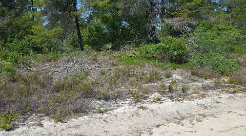 2nd image of 1433 S Reed Rd