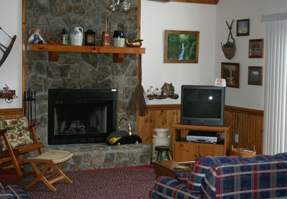 Wood burning fireplace