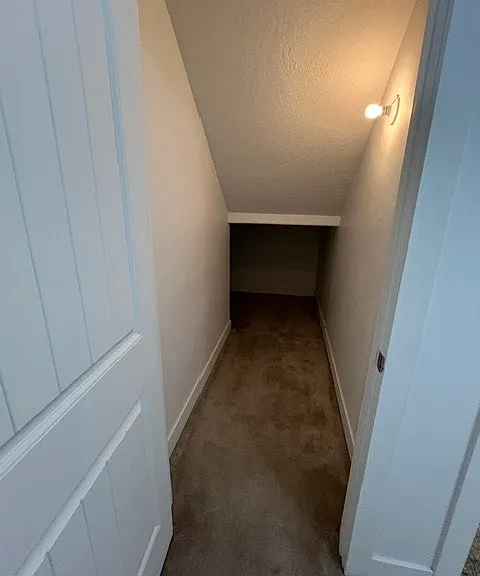 84 N Chalk Maple Ln — Photo 11