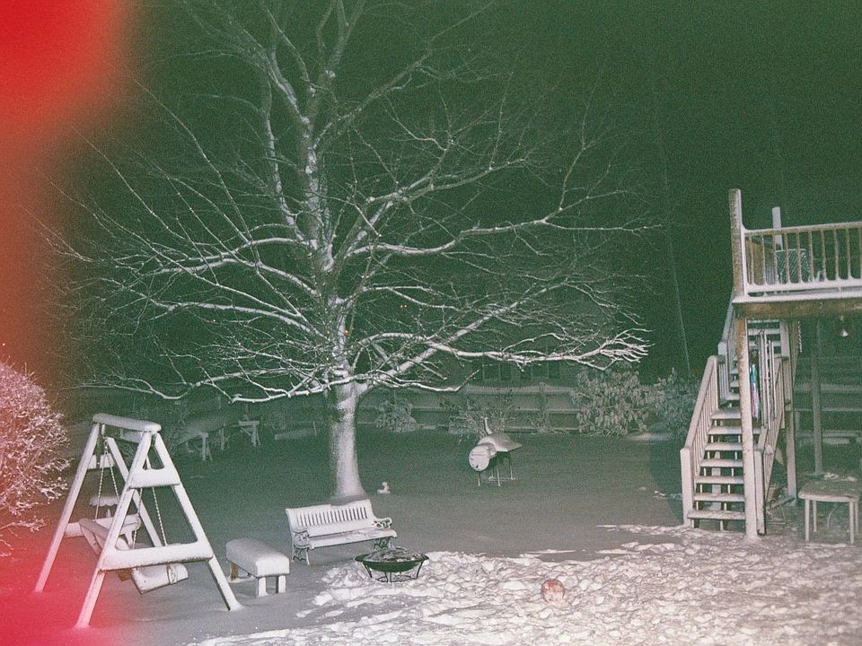 Part of the yard in Winter