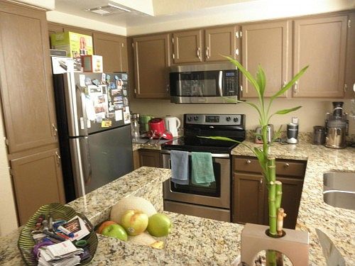 5th image of 4925 E Desert Cove Ave Unit 349